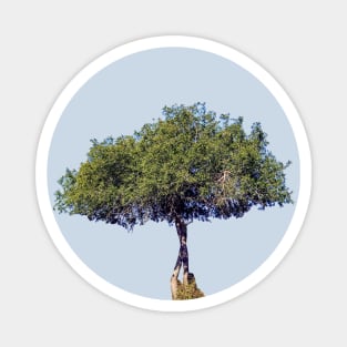 A Tree in Africa Magnet